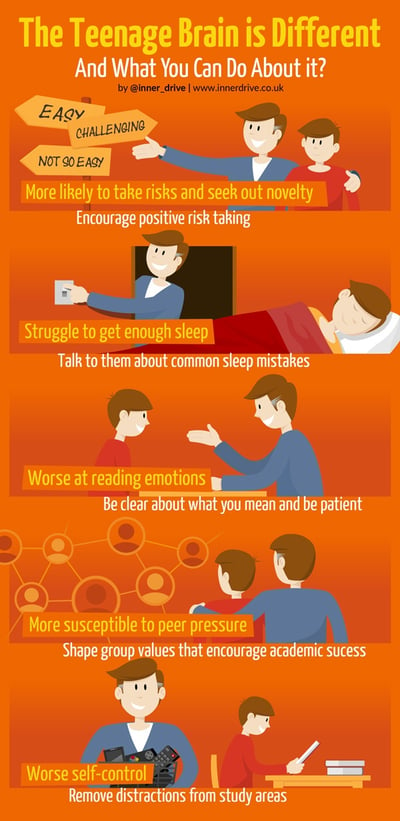 The teenage brain is different and what you can do about it infographic