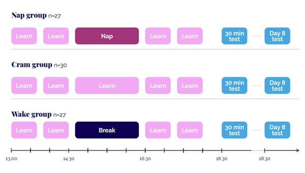 Nap vs Cram vs Wake revision groups graphic