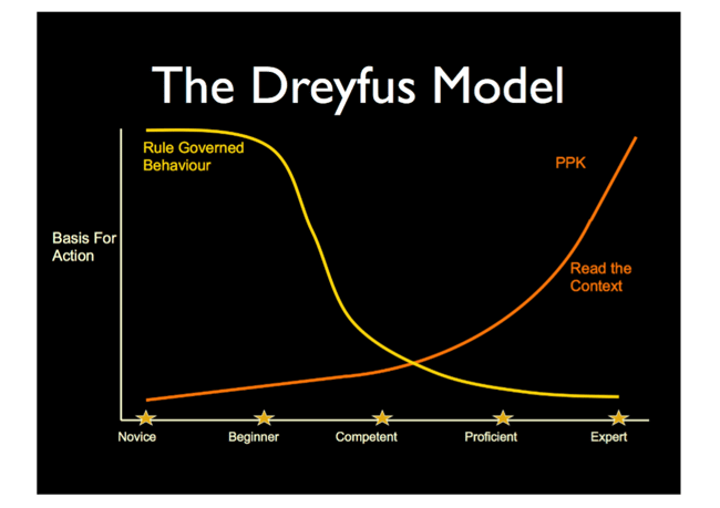 The Dreyfus model