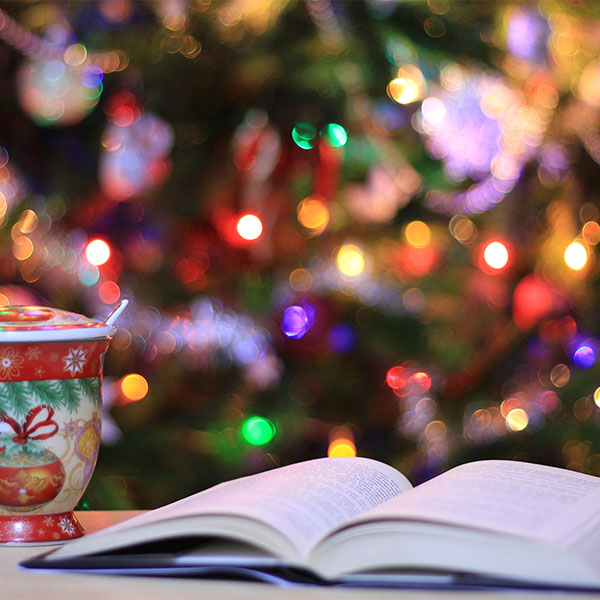 Our top education books to put under the Christmas tree this year